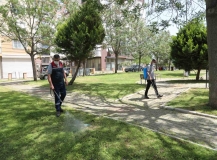 Bayraklı park ve bahçelerinde ilaçlama yapıldı
