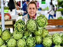 Urla Enginar Festivali için geri sayım başladı
