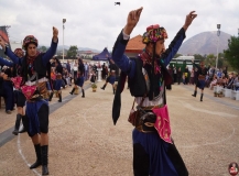 Orhanlı’da zeytin şöleni başladı: Üreticiler festivalde buluştu!